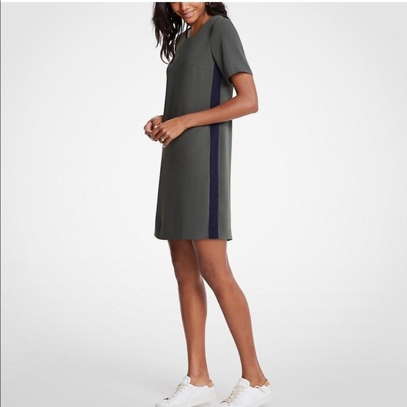 Ann Taylor Green Shift T Shirt Dress with Blue Side Stripe Lagenlook Sz 10 - Picture 13 of 13